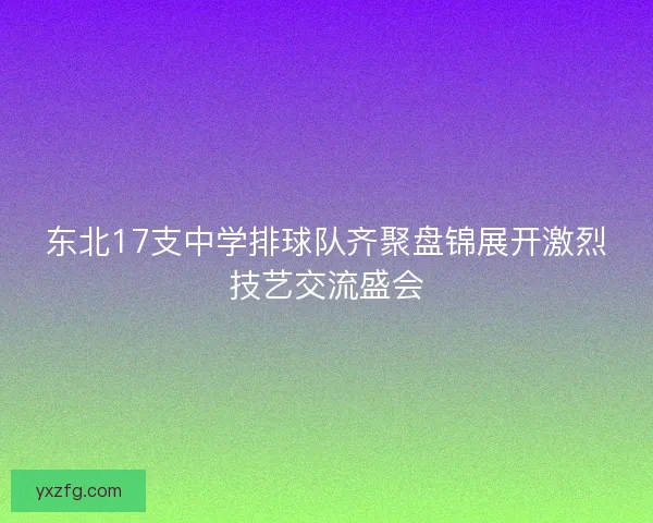 东北17支中学排球队齐聚盘锦展开激烈技艺交流盛会